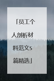 员工个人剖析材料范文5篇精选