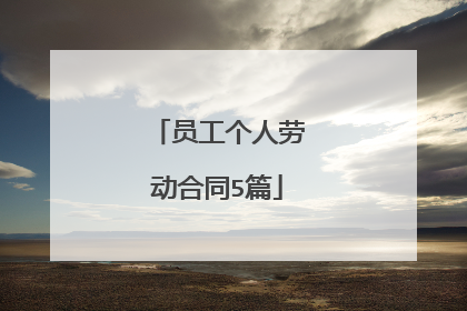 员工个人劳动合同5篇