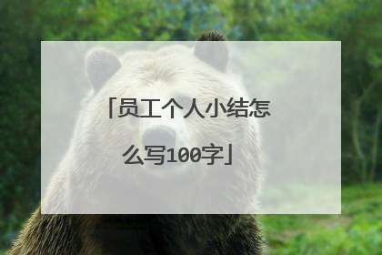 员工个人小结怎么写100字