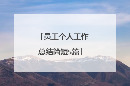 员工个人工作总结简短5篇