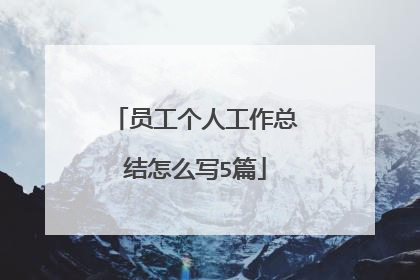 员工个人工作总结怎么写5篇