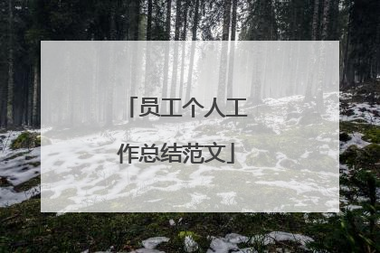 员工个人工作总结范文