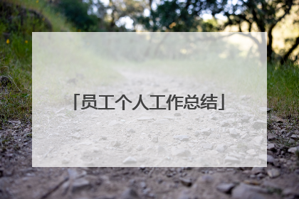 员工个人工作总结