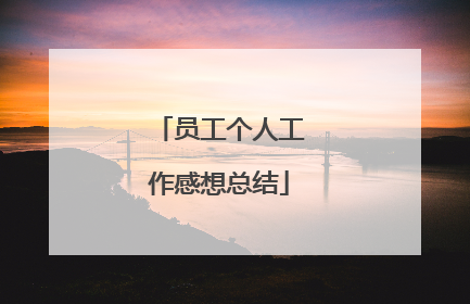 员工个人工作感想总结