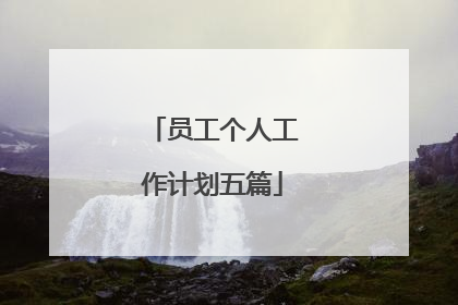 员工个人工作计划五篇