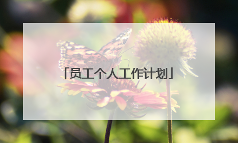 员工个人工作计划