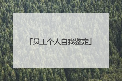 员工个人自我鉴定