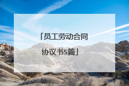 员工劳动合同协议书5篇