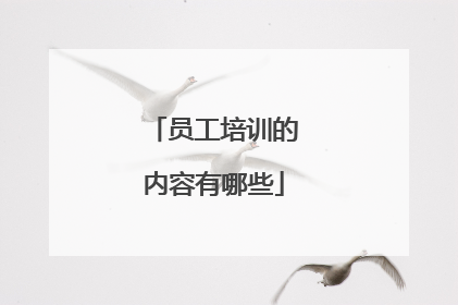 员工培训的内容有哪些