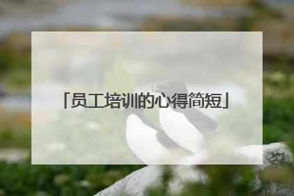 员工培训的心得简短