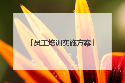 员工培训实施方案