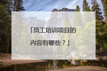 员工培训项目的内容有哪些？