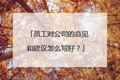 员工对公司的意见和建议怎么写好？