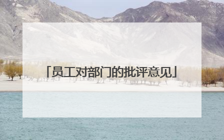 员工对部门的批评意见