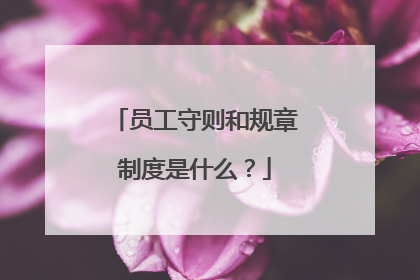员工守则和规章制度是什么?