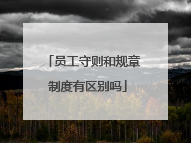 员工守则和规章制度有区别吗