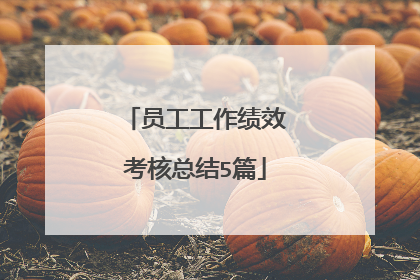 员工工作绩效考核总结5篇