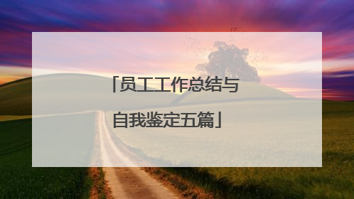 员工工作总结与自我鉴定五篇
