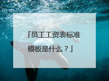 员工工资表标准模板是什么?