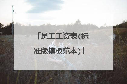 员工工资表(标准版模板范本)