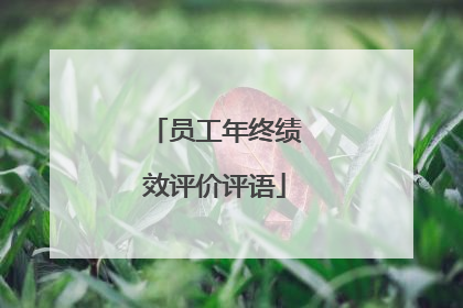 员工年终绩效评价评语