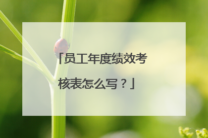 员工年度绩效考核表怎么写？