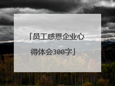 员工感恩企业心得体会300字