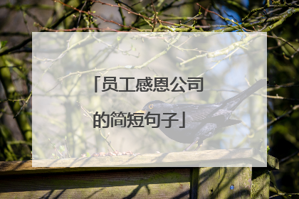 员工感恩公司的简短句子