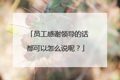 员工感谢领导的话都可以怎么说呢?