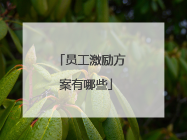 员工激励方案有哪些