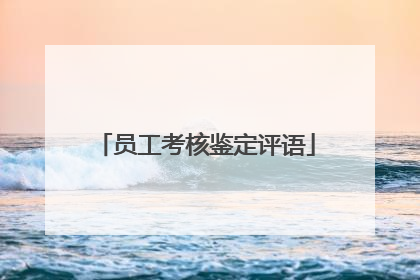 员工考核鉴定评语