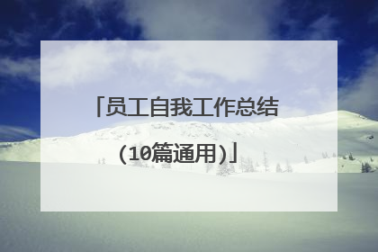 员工自我工作总结(10篇通用)