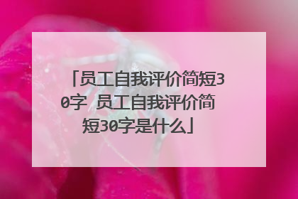 员工自我评价简短30字 员工自我评价简短30字是什么