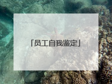员工自我鉴定
