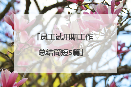员工试用期工作总结简短5篇