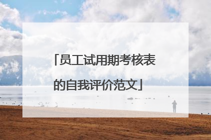 员工试用期考核表的自我评价范文