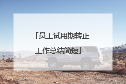 员工试用期转正工作总结简短