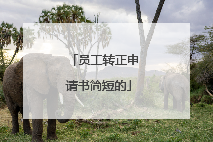 员工转正申请书简短的