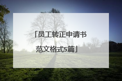 员工转正申请书范文格式5篇