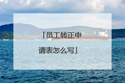 员工转正申请表怎么写