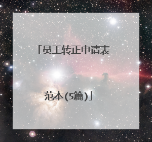 员工转正申请表范本(5篇)
