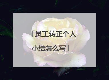 员工转正个人小结怎么写