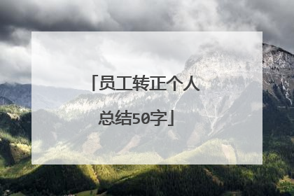 员工转正个人总结50字