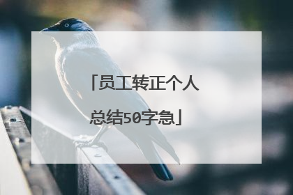 员工转正个人总结50字急