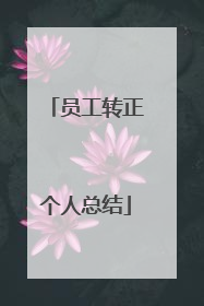 员工转正个人总结