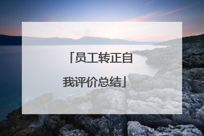 员工转正自我评价总结