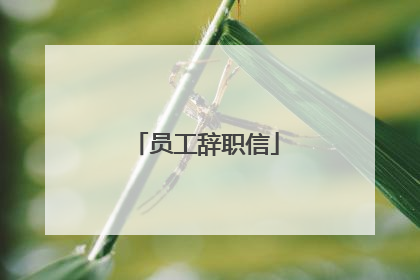 员工辞职信