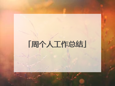 周个人工作总结