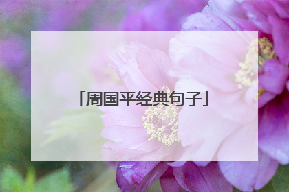 周国平经典句子