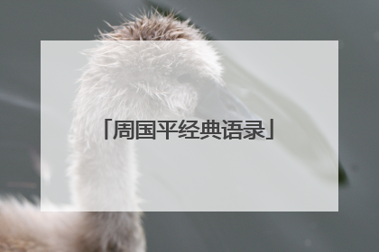 周国平经典语录